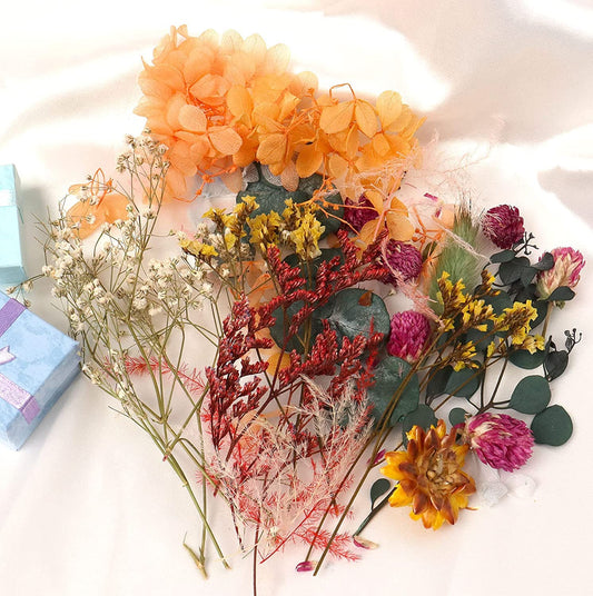 Natural Real Dried Flowers