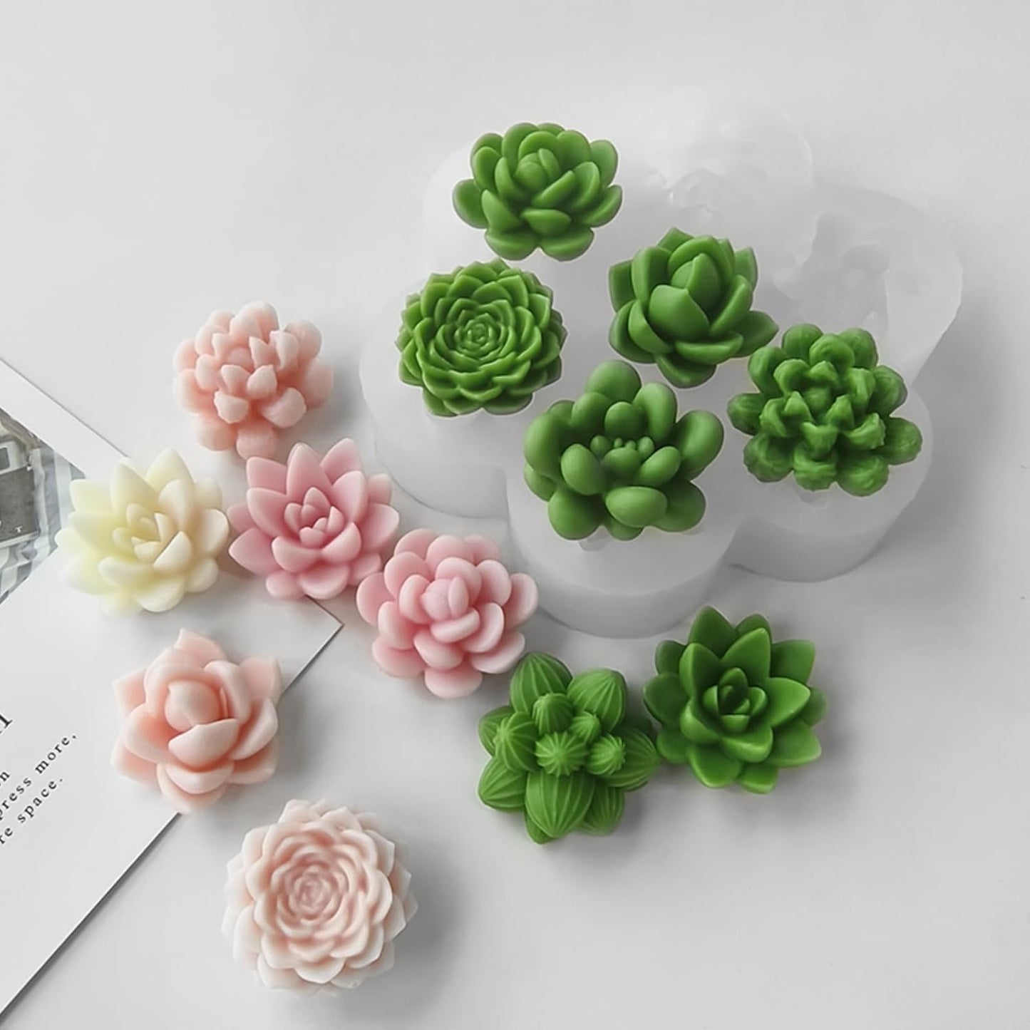 Succulent Plants Mould