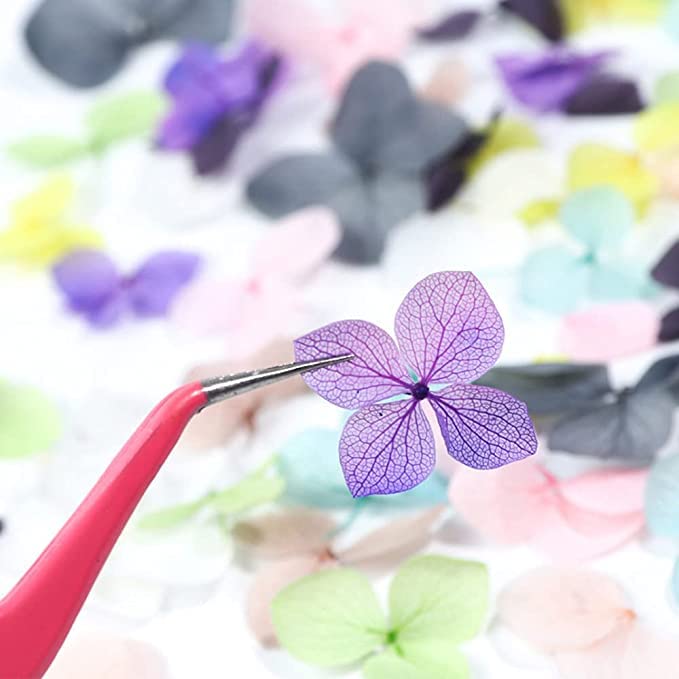 Natural Real Dried Flowers
