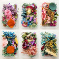 Natural Real Dried Flowers