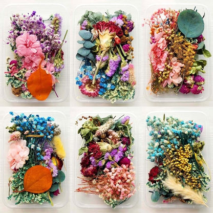 Natural Real Dried Flowers