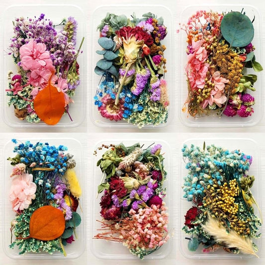 Natural Real Dried Flowers
