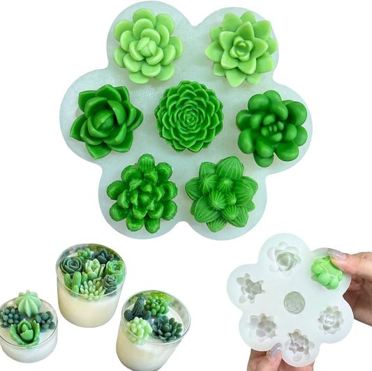 Succulent Plants Mould