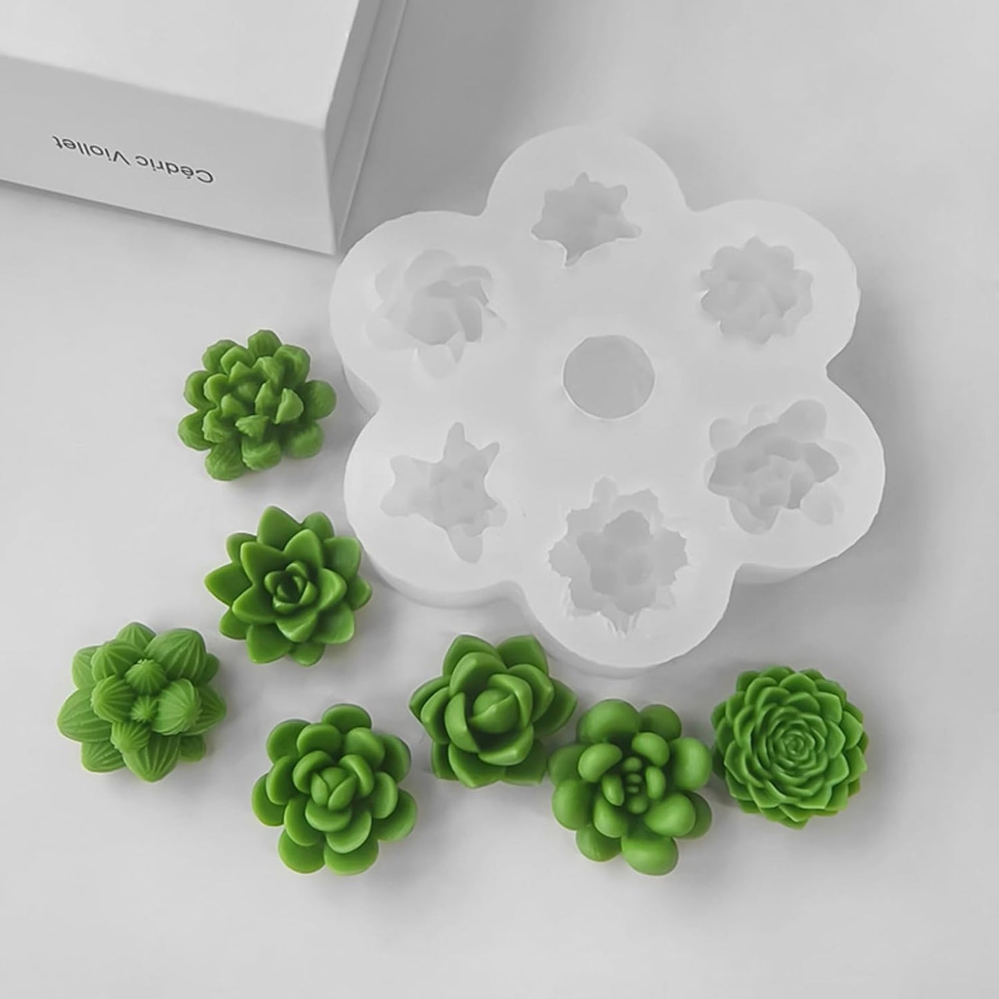 Succulent Plants Mould